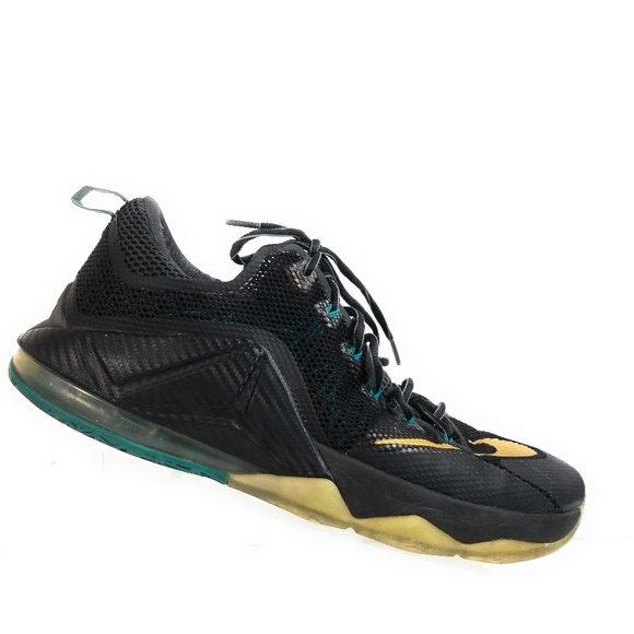 lebron 12 mens shoes